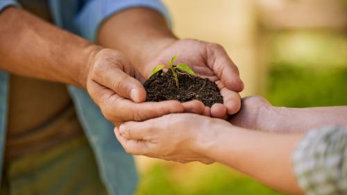 Celebrating National Nonprofit Day Every year on August 17th, a national day comes around that's dedicated to those who make the world a better place through their selfless causes: National Nonprofit Day. Nonprofits have an immense impact on communities, individuals, and the world at large. Let's explore some of the oldest nonprofits that have stood the test of time, and raise a toast to all the incredible nonprofit organizations out there. A Day to Celebrate the Power of Giving Back National Nonprofit Day is all about celebrating the remarkable contributions of nonprofits in addressing societal challenges, improving lives, and creating positive change. These organizations, driven by purpose and fueled by passion, tackle issues ranging from education and healthcare to the environment and social justice. It's a day to acknowledge the dedication of those who have chosen to dedicate their time, skills, and resources to making the world a better place for everyone. Some of the Oldest Nonprofits Some nonprofit organizations have stood strong for centuries, leaving a lasting legacy of service. These age-old institutions have navigated through changing times, evolving needs, and still continue to make a significant impact today: YMCA (Young Men's Christian Association): Founded in 1844, the YMCA has been a beacon of community, youth development, and social responsibility for over a century. With its diverse range of programs, it continues to empower individuals to reach their full potential. American Red Cross: Established in 1881, the American Red Cross has been a lifeline during times of disaster, providing aid, relief, and support to those in need. Its global reach and humanitarian efforts have saved countless lives. Salvation Army: Since its inception in 1865, the Salvation Army has been synonymous with compassionate service. From providing shelter and meals to offering rehabilitation programs, it touches the lives of the marginalized and vulnerable. Celebrating Every Nonprofit While some nonprofits might not have the historical weight of the oldest institutions, their impact is equally profound. Each nonprofit, big or small, is a force of positive change in its own unique way. Often operating behind the scenes, these organizations channel their passion into projects that resonate deeply with their communities. Every effort counts, every act of kindness matters, and every small gesture of goodwill ripples through society. The Ripple Effect It's easy to underestimate the impact of a single good deed or a small act of kindness. But just like a pebble thrown into a pond creates ripples that extend far beyond the point of impact, the positive actions of nonprofits and individuals alike spread goodness throughout the world. Whether it's planting a tree, providing a meal to the hungry, or supporting a child's education, these actions plant seeds of hope and inspire others to join the movement. Together, We Are Mighty Sometimes it may feel like each small good deed is a drop in the bucket. However, remember that your efforts are the building blocks of a better tomorrow, the smallest good deed carries the weight of change, and your actions have the potential to create a ripple effect that touches lives far beyond your own. As we celebrate National Nonprofit Day, let's honor the past, embrace the present, and build a future where the spirit of giving back continues to thrive. Mighty Penguin stands united in our pursuit of a better world and is committed to spreading the light of goodness, one act at a time.